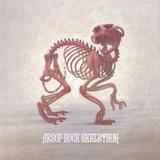 Aesop Rock - Skelethon Artwork