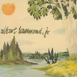 Albert Hammond Jr. - Yours To Keep Artwork