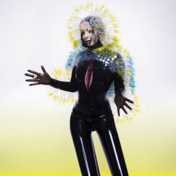 Björk - Vulnicura Artwork