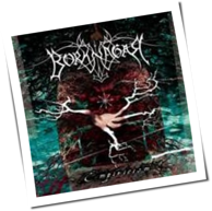 Borknagar - Empiricism