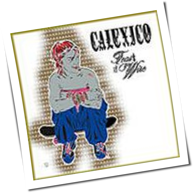 Calexico - Feast of Wire