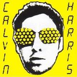 Calvin Harris - I Created Disco Artwork