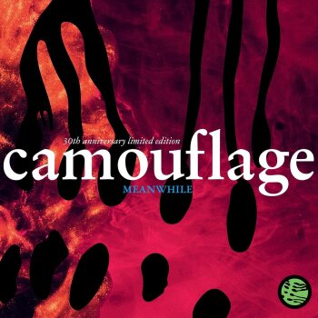 Camouflage - Meanwhile (30th Anniversary Limited Edition) Artwork