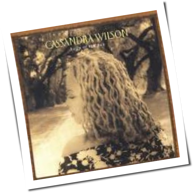 Cassandra Wilson - Belly Of The Sun