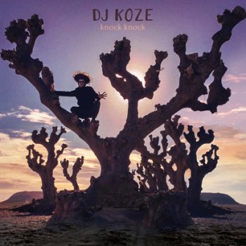 DJ Koze - Knock Knock Artwork