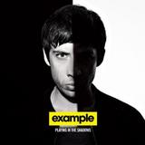 Example - Playing In The Shadows Artwork