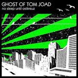 Ghost Of Tom Joad - No Sleep Until Ostkreuz Artwork