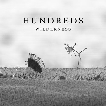 Hundreds - Wilderness Artwork