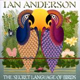 Ian Anderson - The Secret Language Of Birds Artwork