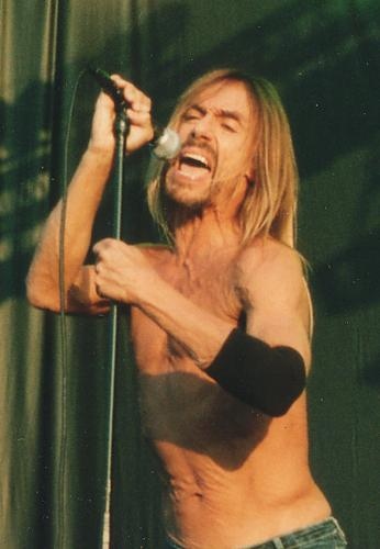 Iggy Pop – Iggy verwandelte das Southside Festival in ein "Fun House" – 