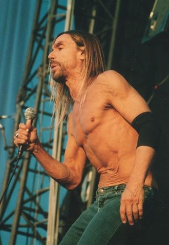 Iggy Pop – Iggy verwandelte das Southside Festival in ein "Fun House" – 