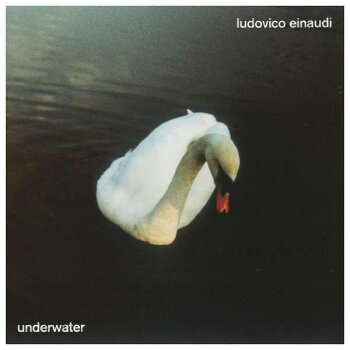 Ludovico Einaudi - Underwater Artwork