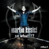Martin Kesici - So What...!? Artwork