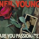 Neil Young - Are You Passionate? Artwork