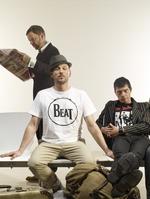 Beatsteaks: Die Single 