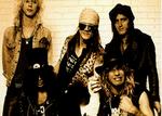 Guns n' Roses: DVD-Doku nur als Import