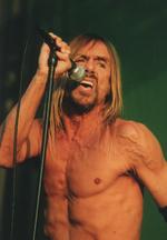 Iggy Pop: Penis-Träume im Rentenalter