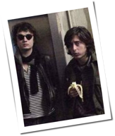 The Libertines: Flucht aus dem Delirium