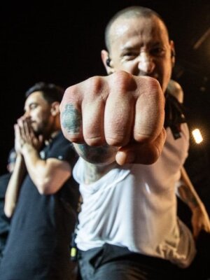 Vorchecking: Linkin Park, Element Of Crime, NF