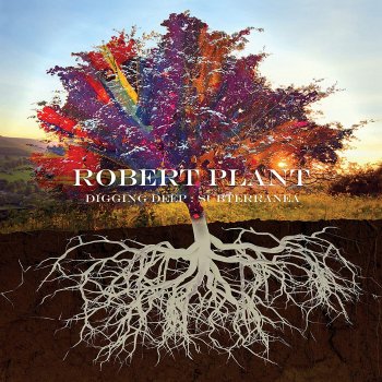 Robert Plant - Digging Deep: Subterranea Artwork
