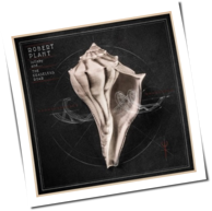 Robert Plant - Lullaby And ... The Ceaseless Roar
