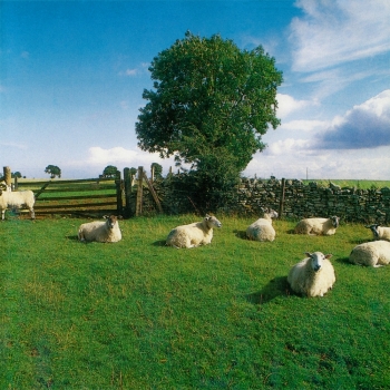 The KLF - Chill Out Artwork