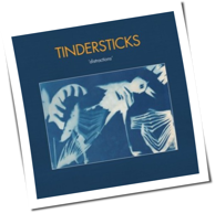 Tindersticks - Distractions