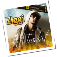 Ziggi - In Transit