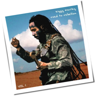 Ziggy Marley - Road To Rebellion (Vol. 1)