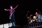 Paul McCartney, Green Day und Co,  | © laut.de (Fotograf: Lars Krüger)