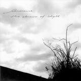 Lawrence - The Absence Of Blight