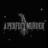 A Perfect Murder - Unbroken