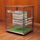 Various Artists - Well Deep: Ten Years Of Big Dada Recordings