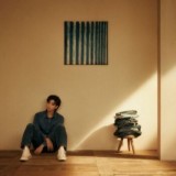 RM (BTS) - Indigo