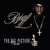 Big L - The Big Picture: Album-Cover