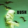 Bush - The Science Of Things: Album-Cover