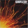 Godflesh - Hymns: Album-Cover