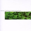 Rothko - A Continual Search For Origins: Album-Cover