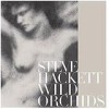 Steve Hackett - Wild Orchids