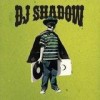 DJ Shadow - The Outsider: Album-Cover