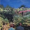 Box Codax - Only An Orchard Away: Album-Cover
