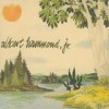 Albert Hammond Jr. - Yours To Keep: Album-Cover