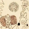 Devendra Banhart - Rejoicing In The Hands: Album-Cover