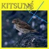 Various Artists - Kitsune X