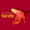 Karate - In The Fishtank 12: Album-Cover