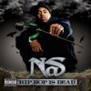 Nas - Hip Hop Is Dead: Album-Cover