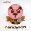 Gruff Rhys - Candylion