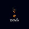 Loveninjas - The Secret Of The Loveninjas: Album-Cover
