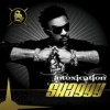 Shaggy - Intoxication