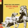 Kevin Drew - Spirit If: Album-Cover
